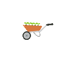 Alton Garden Centre – Essex Based Family Run Business